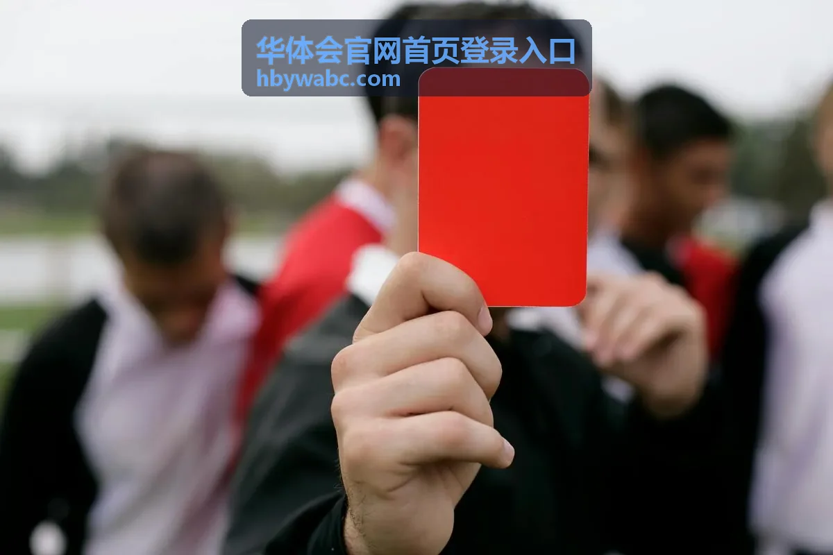 华体会官网首页登录入口的账号安全与验证配图