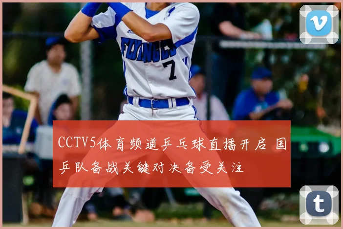 CCTV5体育频道乒乓球直播开启 国乒队备战关键对决备受关注