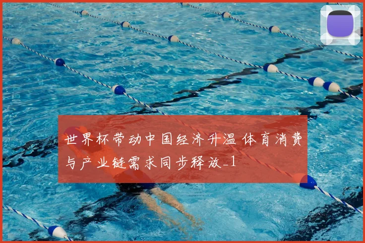 世界杯带动中国经济升温 体育消费与产业链需求同步释放_1