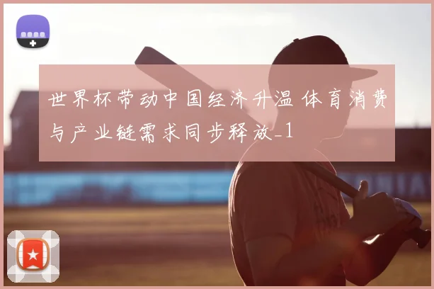 世界杯带动中国经济升温 体育消费与产业链需求同步释放_1